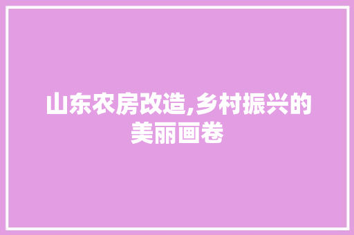 山东农房改造,乡村振兴的美丽画卷