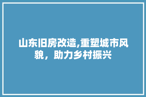 山东旧房改造,重塑城市风貌，助力乡村振兴