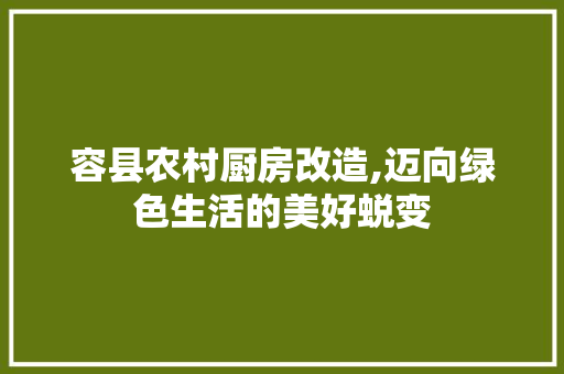 容县农村厨房改造,迈向绿色生活的美好蜕变