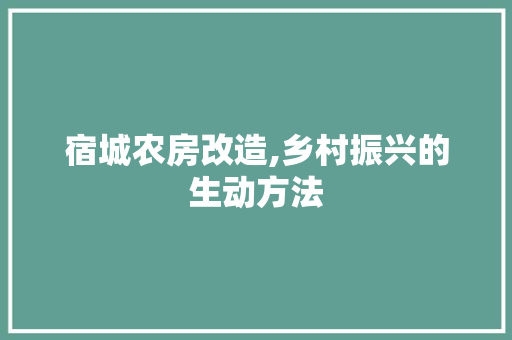 宿城农房改造,乡村振兴的生动方法