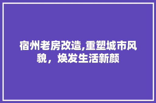 宿州老房改造,重塑城市风貌，焕发生活新颜