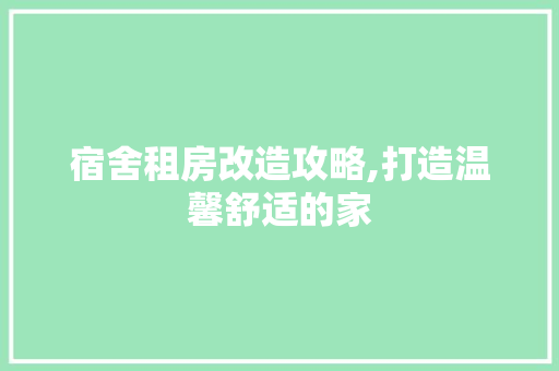 宿舍租房改造攻略,打造温馨舒适的家