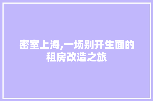 密室上海,一场别开生面的租房改造之旅