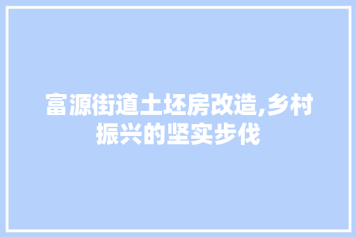 富源街道土坯房改造,乡村振兴的坚实步伐