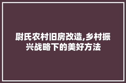 尉氏农村旧房改造,乡村振兴战略下的美好方法