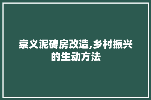 崇义泥砖房改造,乡村振兴的生动方法