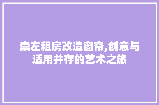 崇左租房改造窗帘,创意与适用并存的艺术之旅