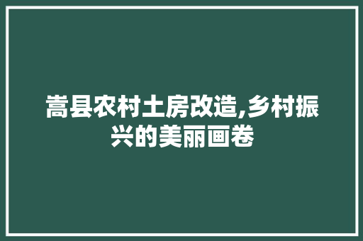 嵩县农村土房改造,乡村振兴的美丽画卷