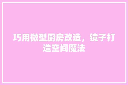 巧用微型厨房改造，镜子打造空间魔法