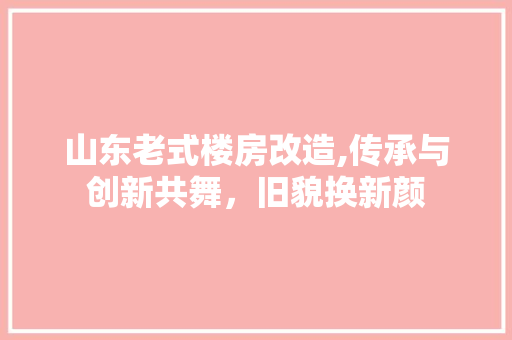 山东老式楼房改造,传承与创新共舞，旧貌换新颜