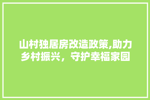 山村独居房改造政策,助力乡村振兴，守护幸福家园