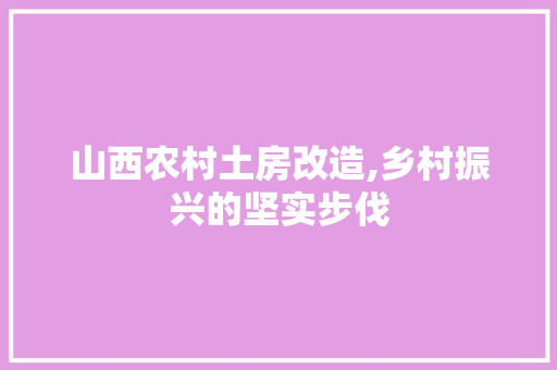 山西农村土房改造,乡村振兴的坚实步伐
