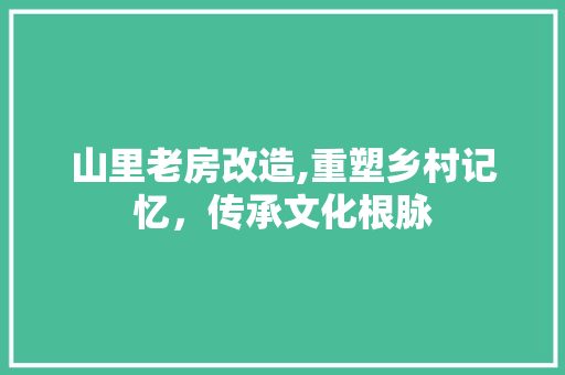 山里老房改造,重塑乡村记忆，传承文化根脉