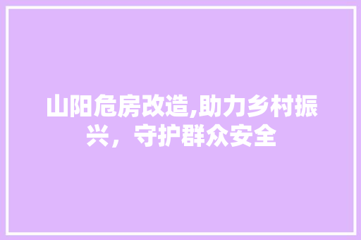 山阳危房改造,助力乡村振兴，守护群众安全