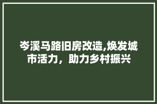 岑溪马路旧房改造,焕发城市活力，助力乡村振兴