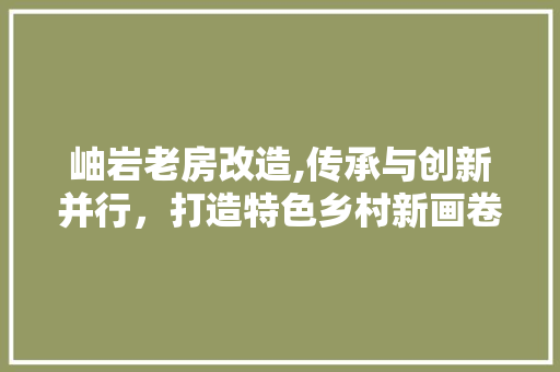岫岩老房改造,传承与创新并行，打造特色乡村新画卷
