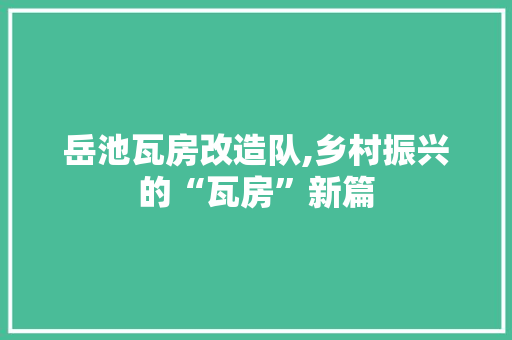 岳池瓦房改造队,乡村振兴的“瓦房”新篇