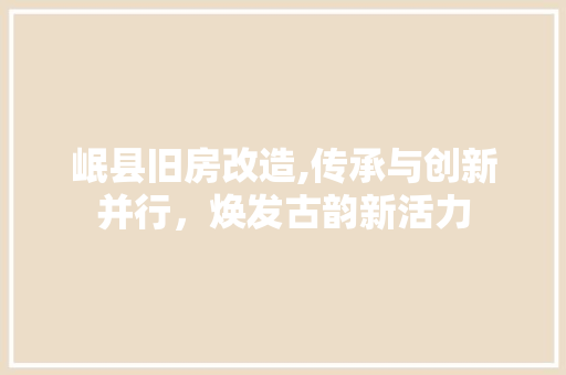 岷县旧房改造,传承与创新并行，焕发古韵新活力