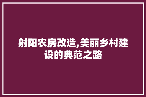 射阳农房改造,美丽乡村建设的典范之路
