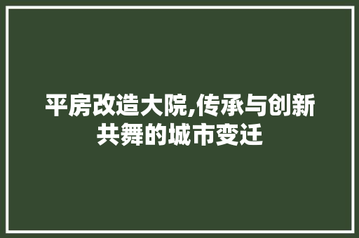 平房改造大院,传承与创新共舞的城市变迁