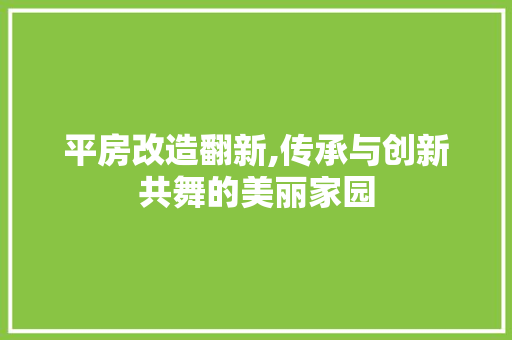 平房改造翻新,传承与创新共舞的美丽家园