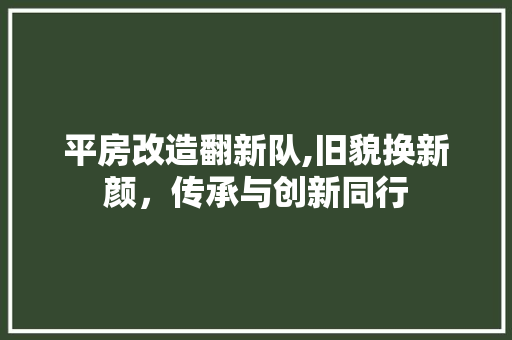 平房改造翻新队,旧貌换新颜，传承与创新同行
