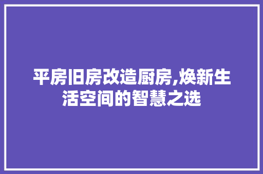 平房旧房改造厨房,焕新生活空间的智慧之选
