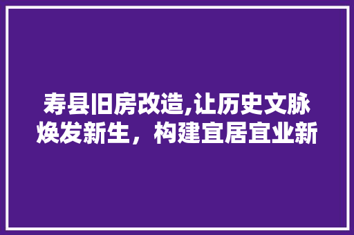 寿县旧房改造,让历史文脉焕发新生，构建宜居宜业新家园