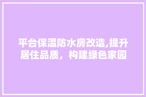 平台保温防水房改造,提升居住品质，构建绿色家园