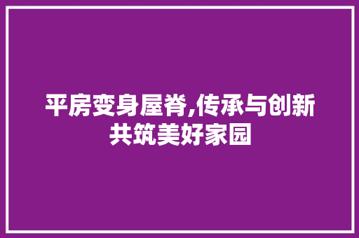 平房变身屋脊,传承与创新共筑美好家园