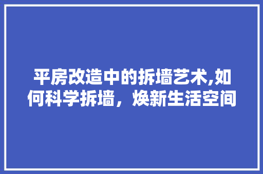 平房改造中的拆墙艺术,如何科学拆墙，焕新生活空间