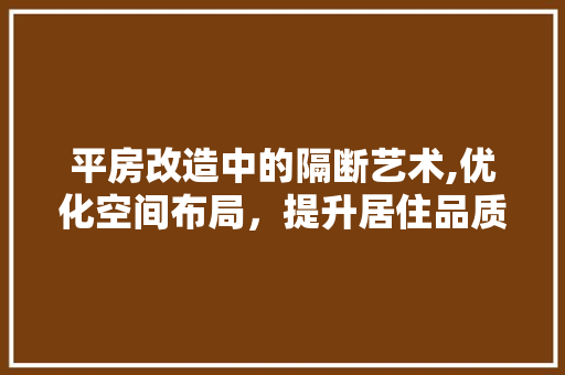 平房改造中的隔断艺术,优化空间布局，提升居住品质