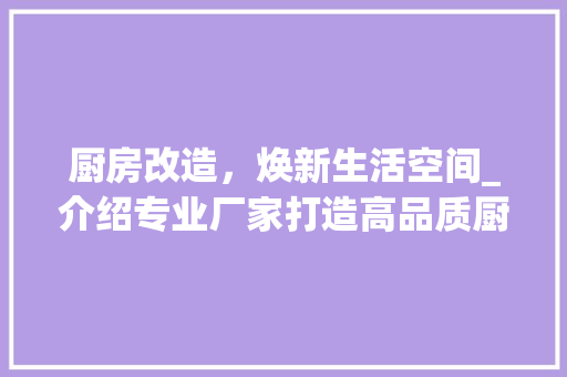 厨房改造，焕新生活空间_介绍专业厂家打造高品质厨房之路