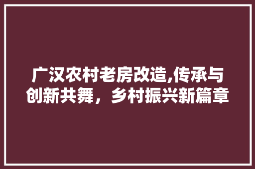 广汉农村老房改造,传承与创新共舞，乡村振兴新篇章
