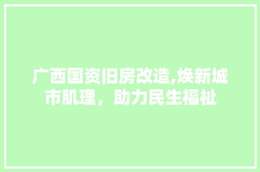 广西国资旧房改造,焕新城市肌理，助力民生福祉