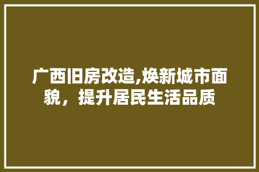 广西旧房改造,焕新城市面貌，提升居民生活品质