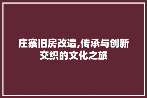 庄寨旧房改造,传承与创新交织的文化之旅