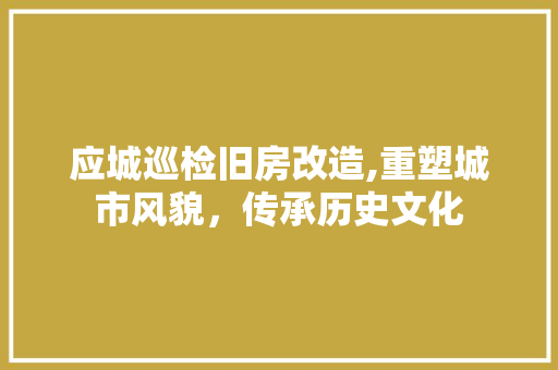 应城巡检旧房改造,重塑城市风貌，传承历史文化