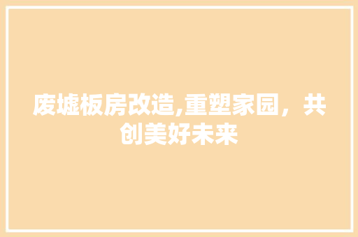 废墟板房改造,重塑家园，共创美好未来