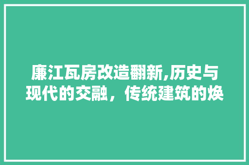 廉江瓦房改造翻新,历史与现代的交融，传统建筑的焕新之旅