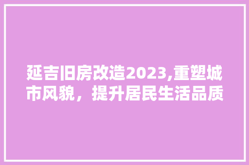 延吉旧房改造2023,重塑城市风貌，提升居民生活品质