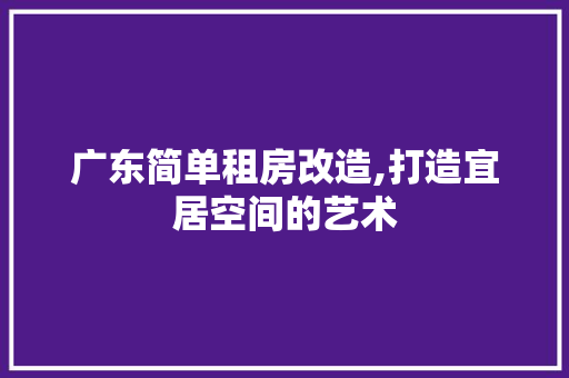 广东简单租房改造,打造宜居空间的艺术