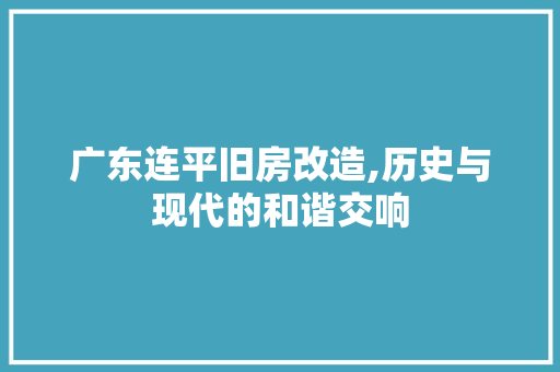 广东连平旧房改造,历史与现代的和谐交响