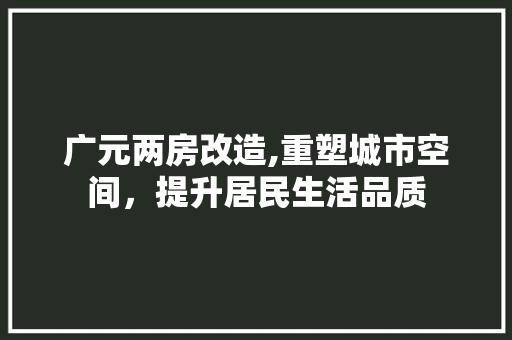 广元两房改造,重塑城市空间，提升居民生活品质