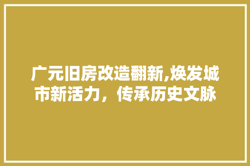 广元旧房改造翻新,焕发城市新活力，传承历史文脉