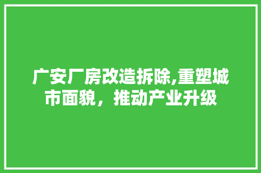 广安厂房改造拆除,重塑城市面貌，推动产业升级