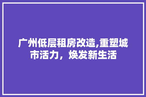 广州低层租房改造,重塑城市活力，焕发新生活