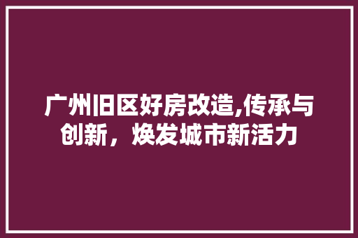 广州旧区好房改造,传承与创新，焕发城市新活力