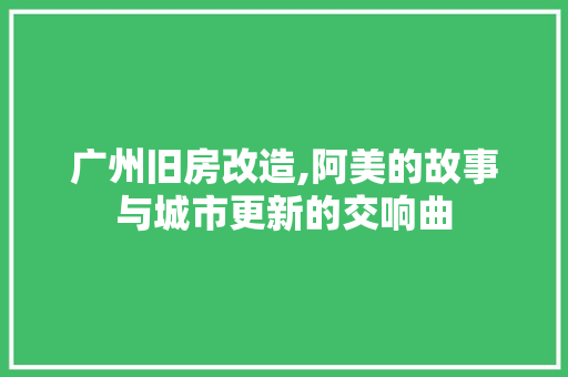 广州旧房改造,阿美的故事与城市更新的交响曲