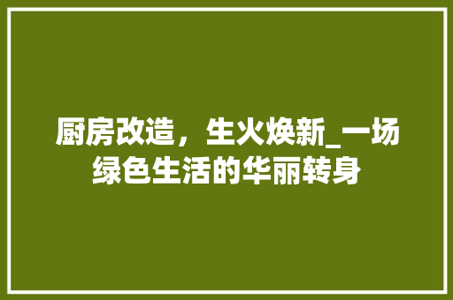 厨房改造，生火焕新_一场绿色生活的华丽转身
